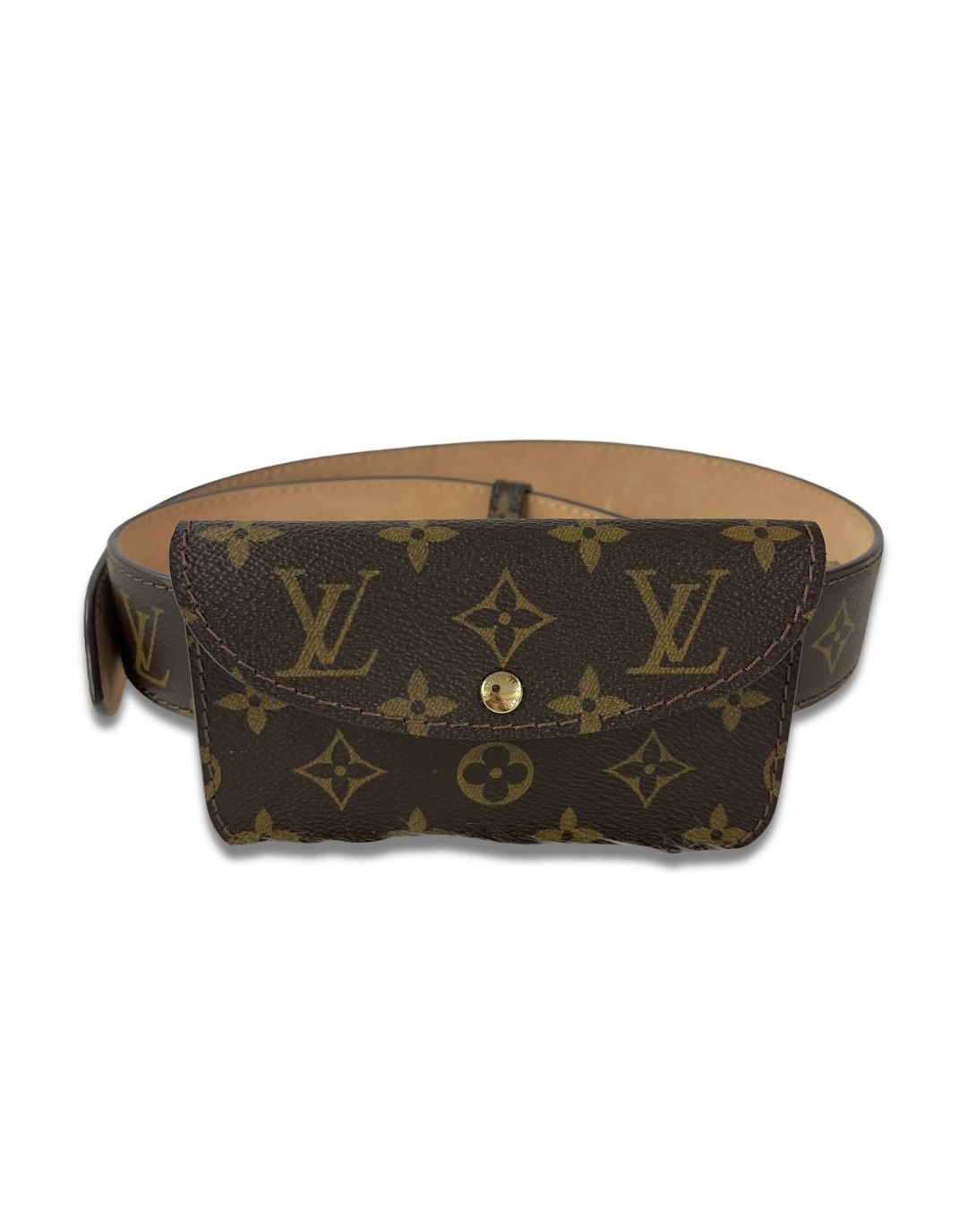Louis Vuitton Monogram Ceinture Pochette